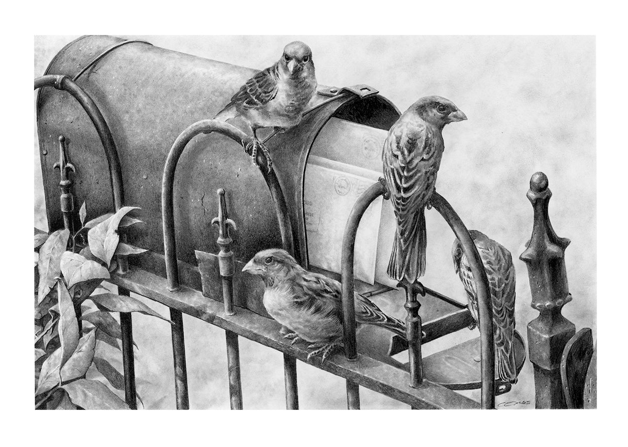 Single - Air Mail