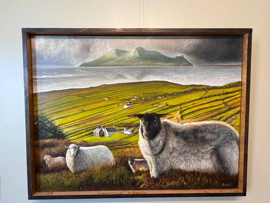 The Flock of Clare